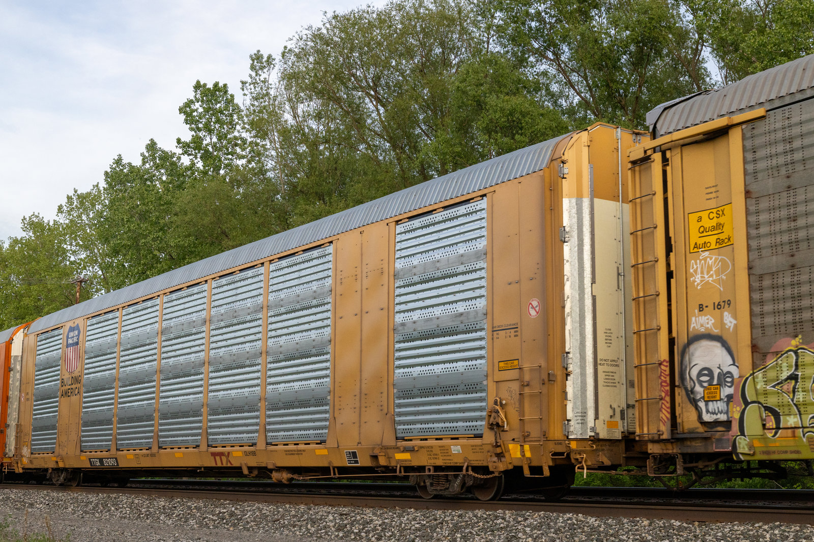 TTGX 821093