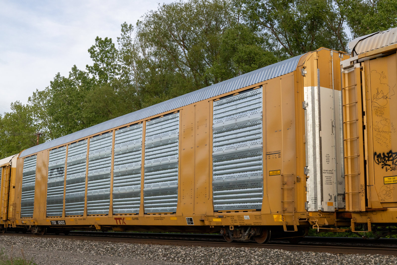 TTGX 824213