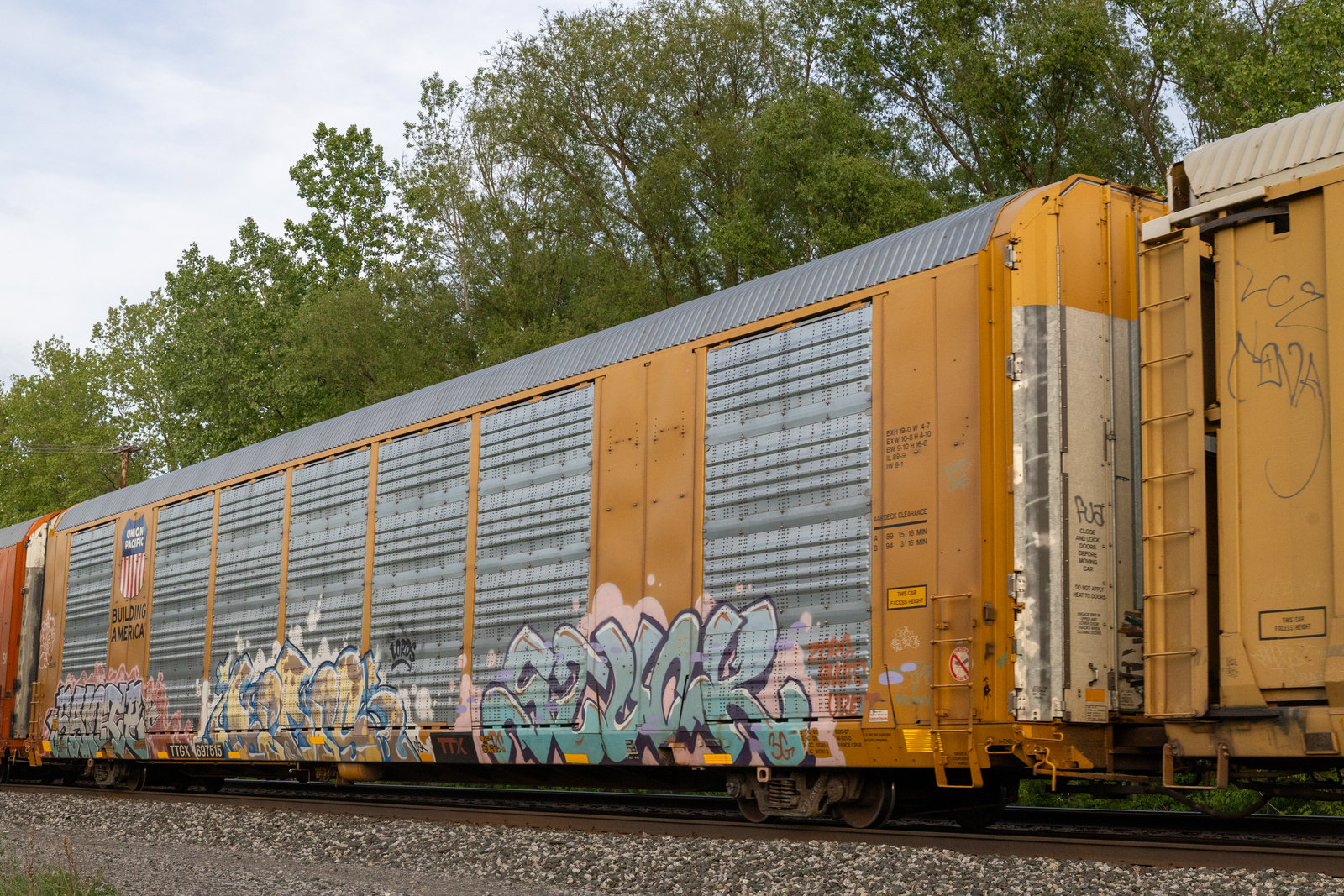 TTGX 697515