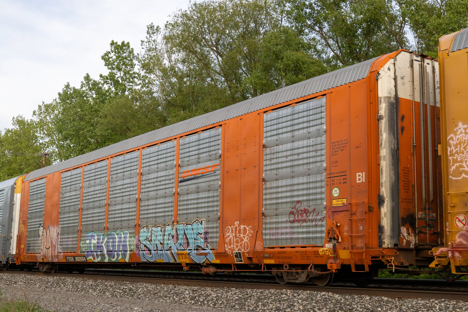 TTGX 693504