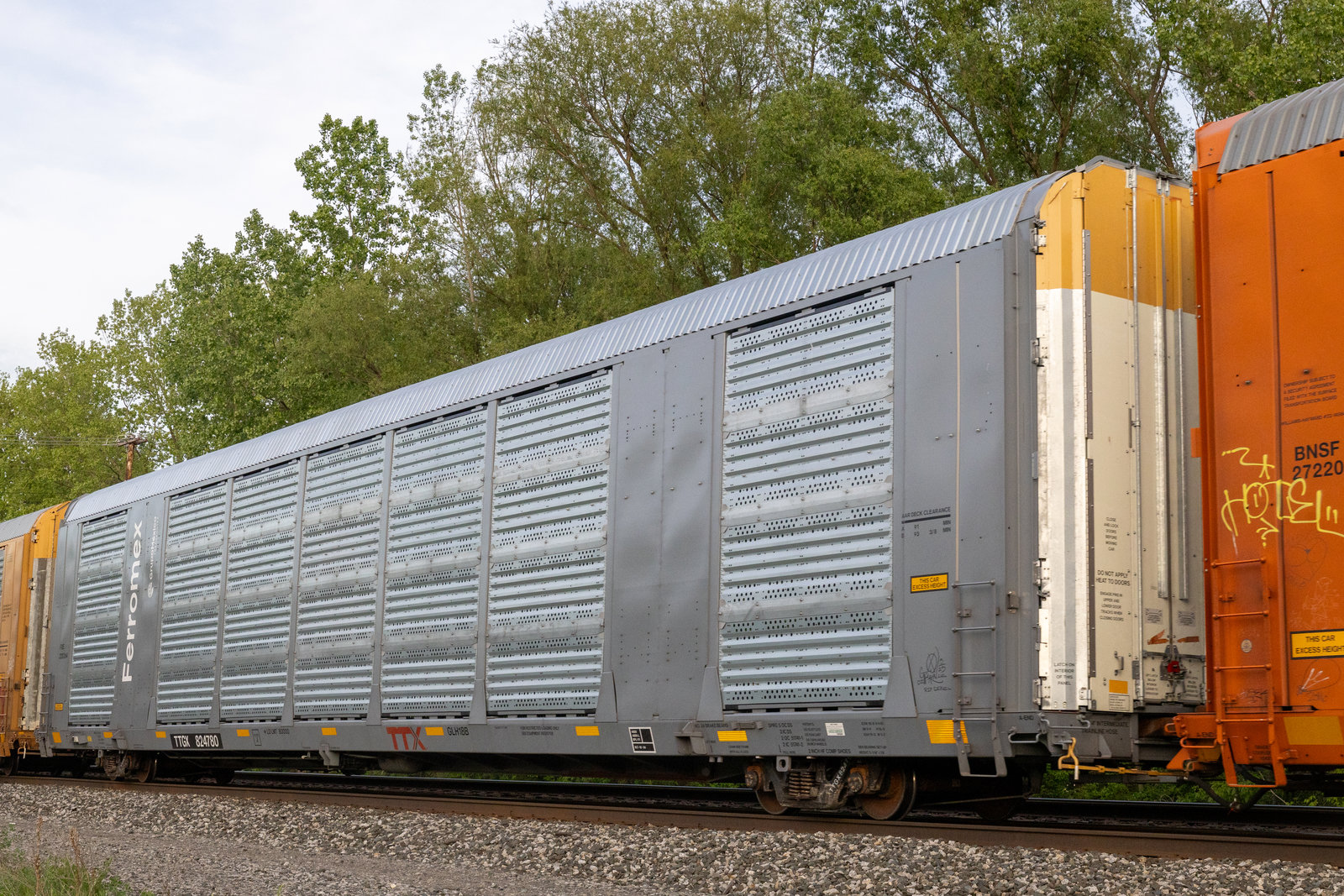 TTGX 824780