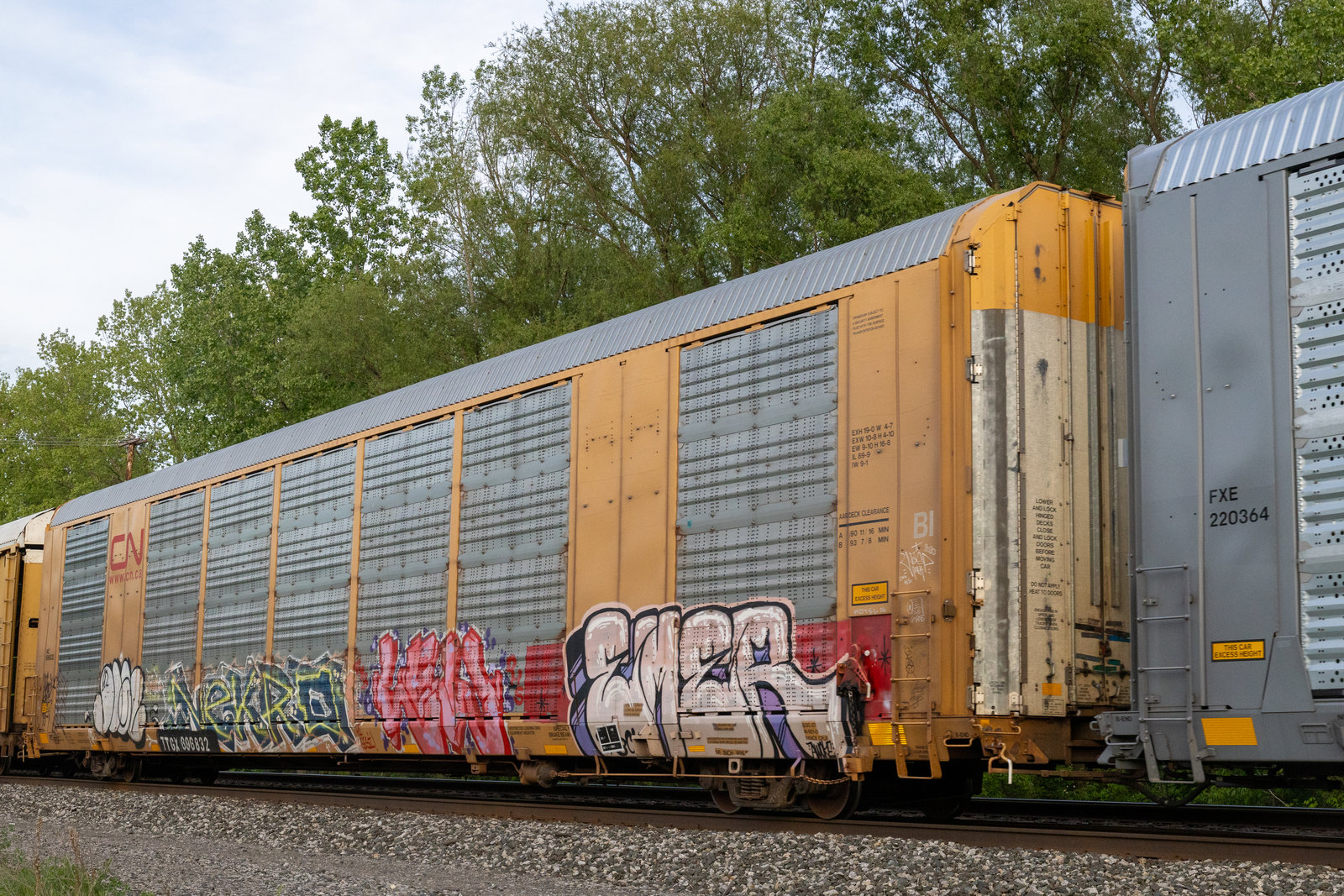 TTGX 696832
