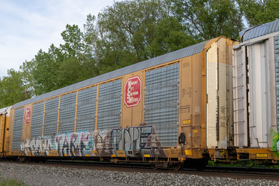 TTGX 691305