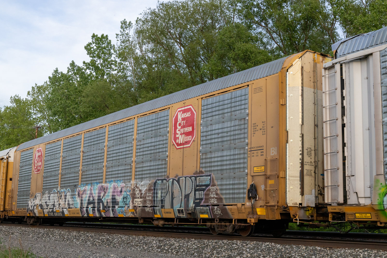 TTGX 691305