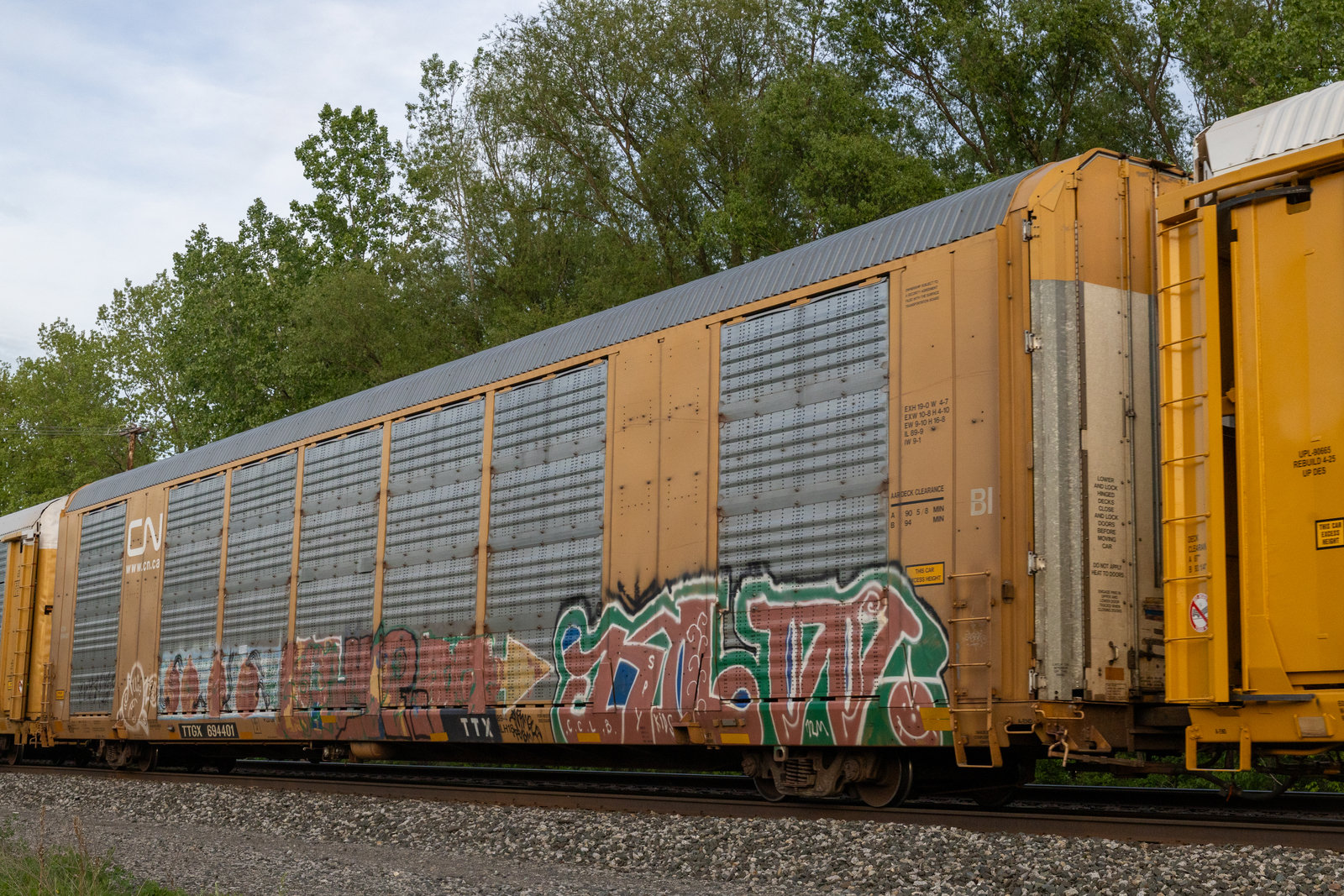 TTGX 694401