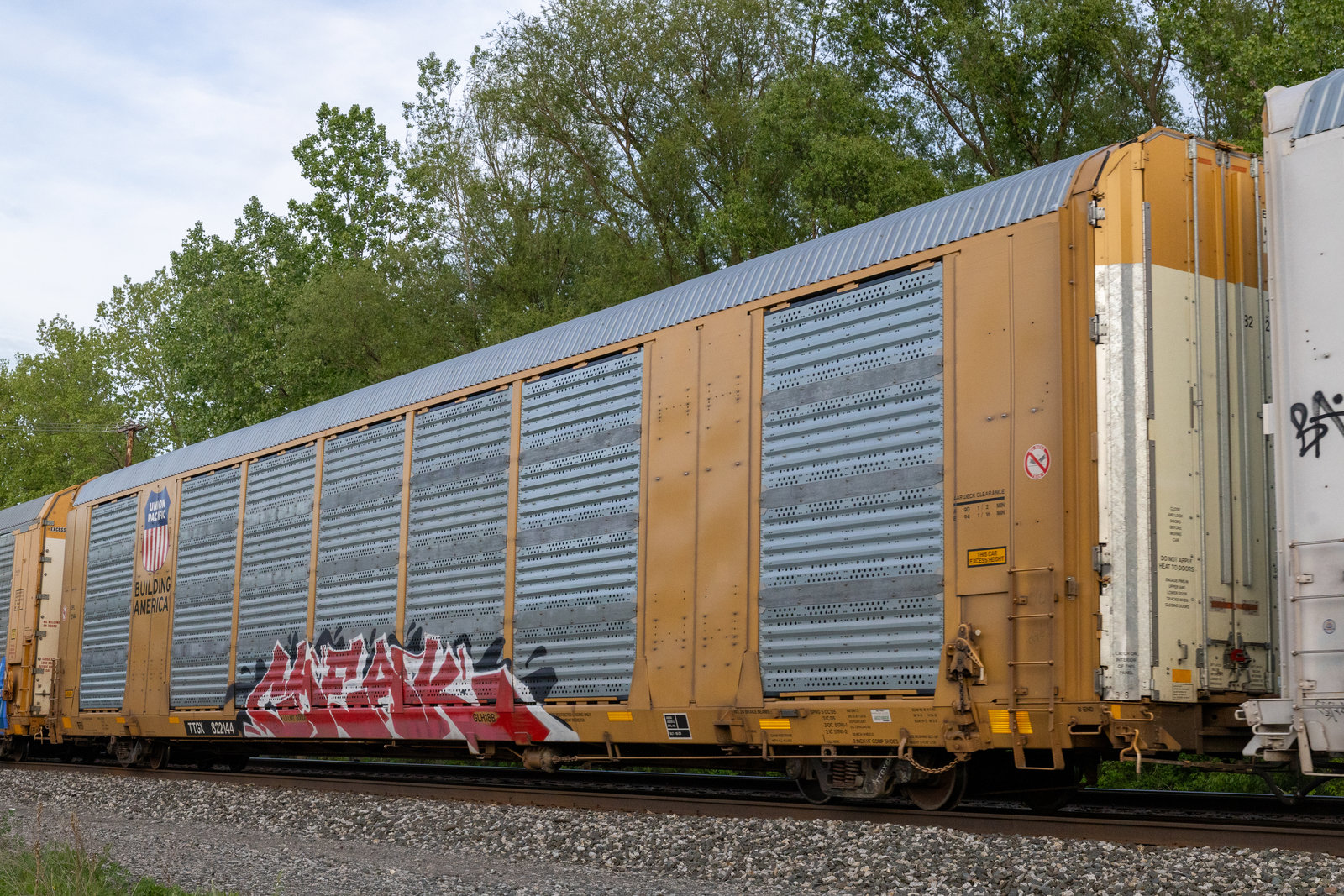 TTGX 822144