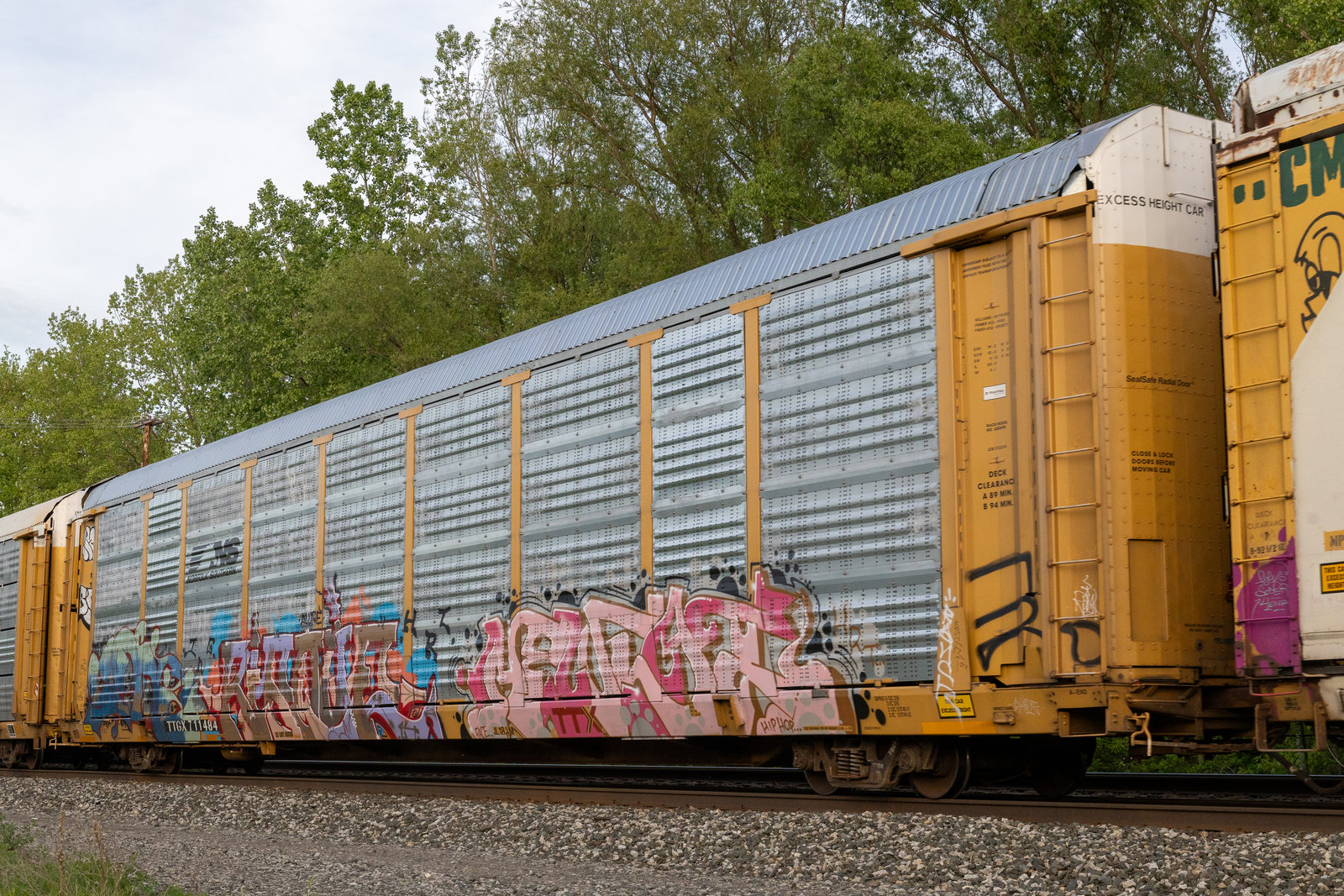 TTGX 711484