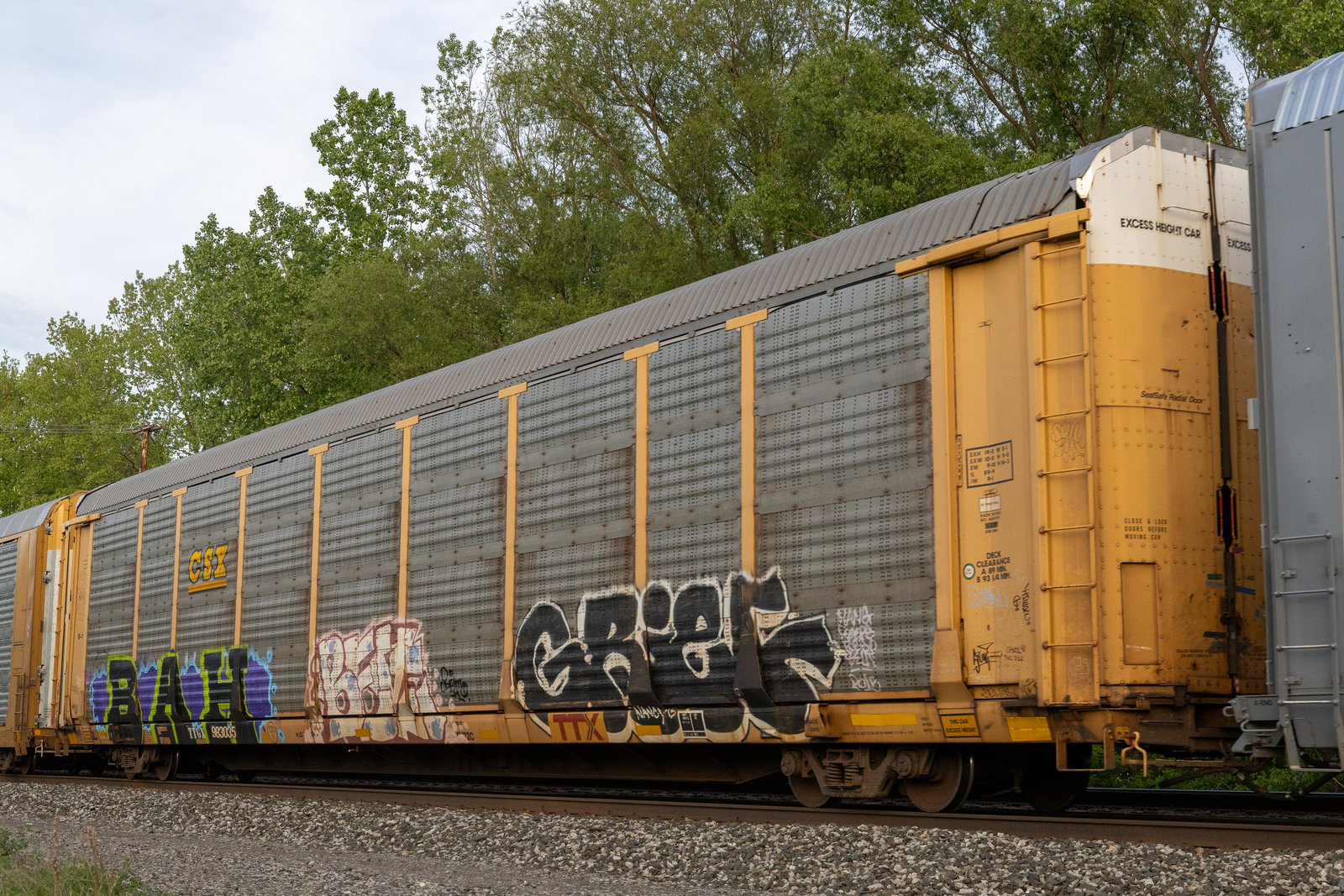TTGX 983035