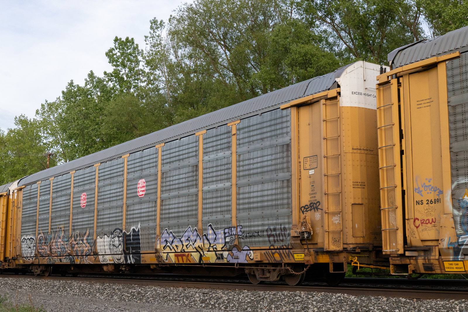 TTGX 980745