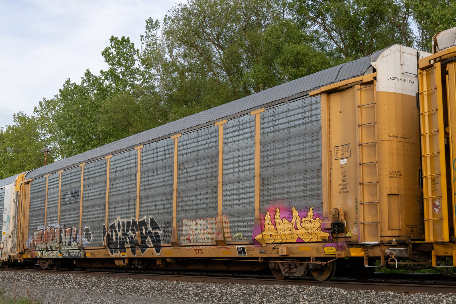 TTGX 964844