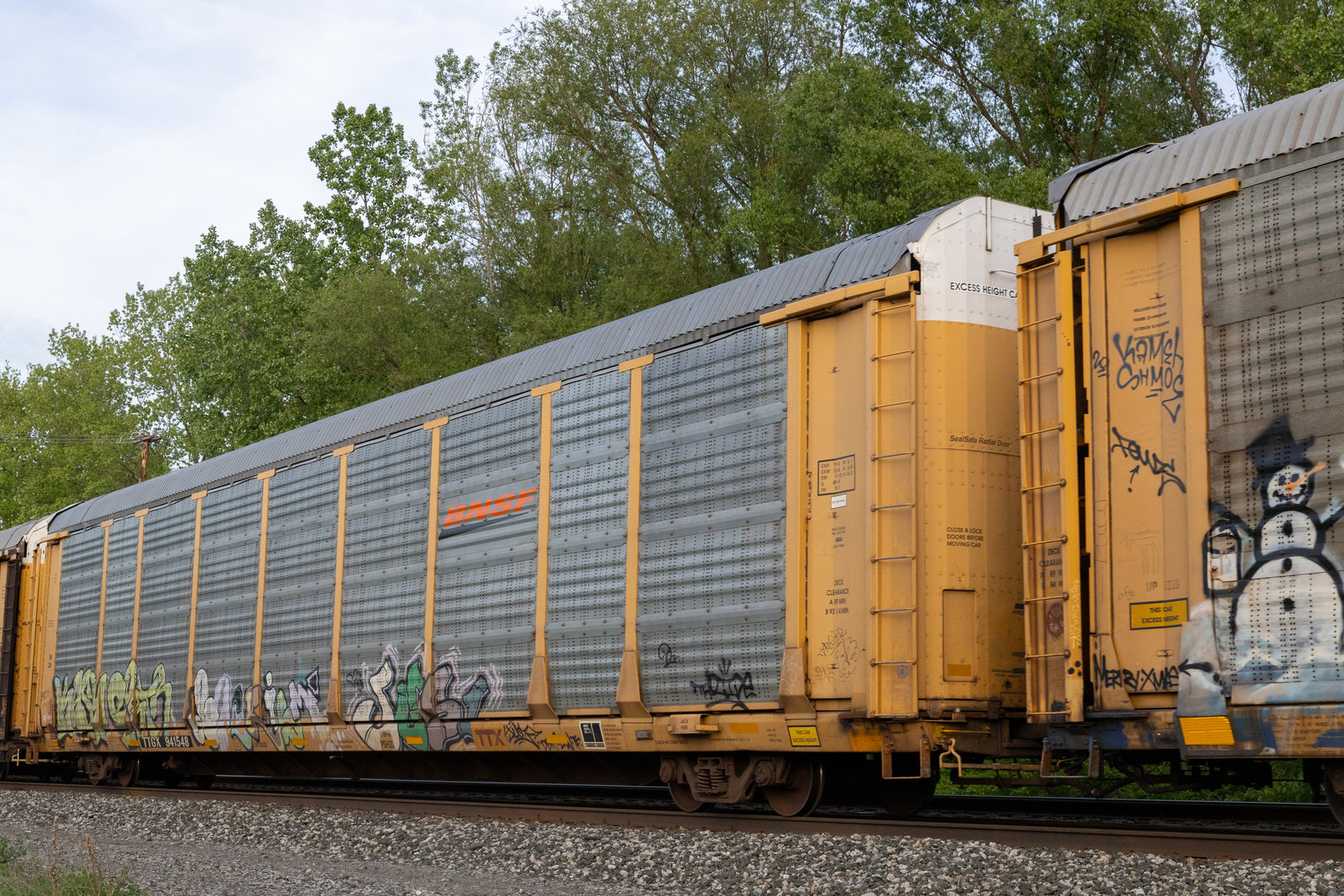 TTGX 941548
