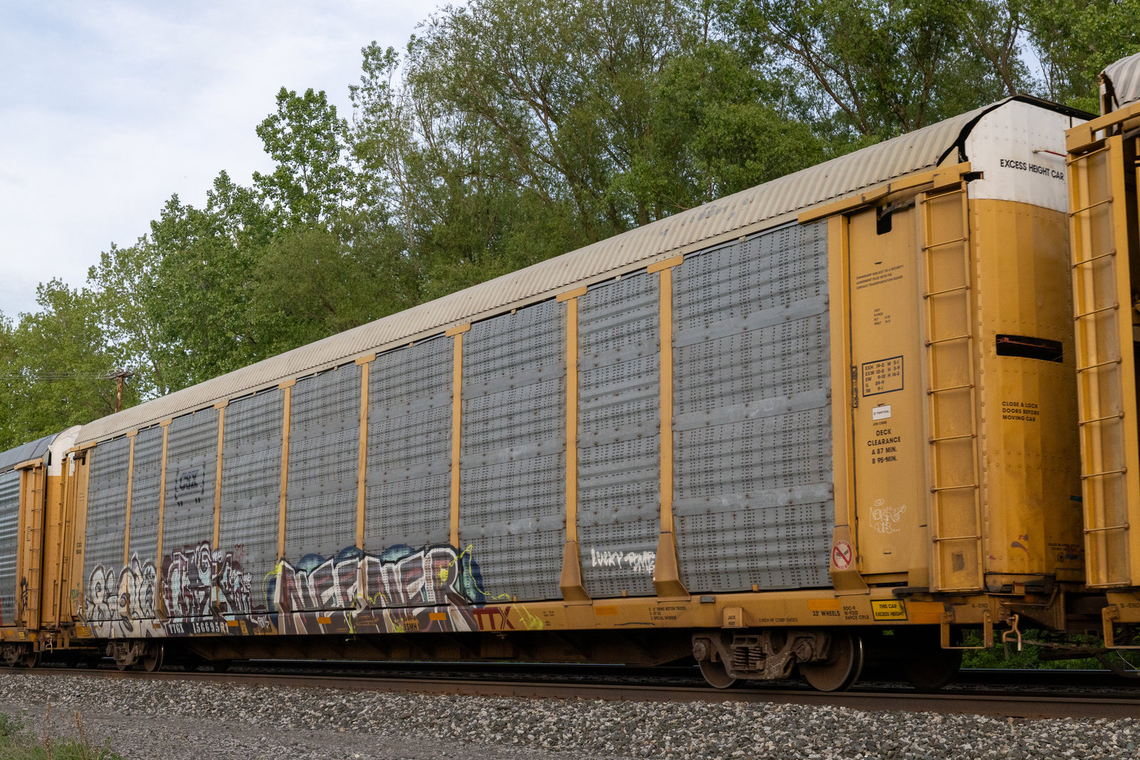 TTGX 156695