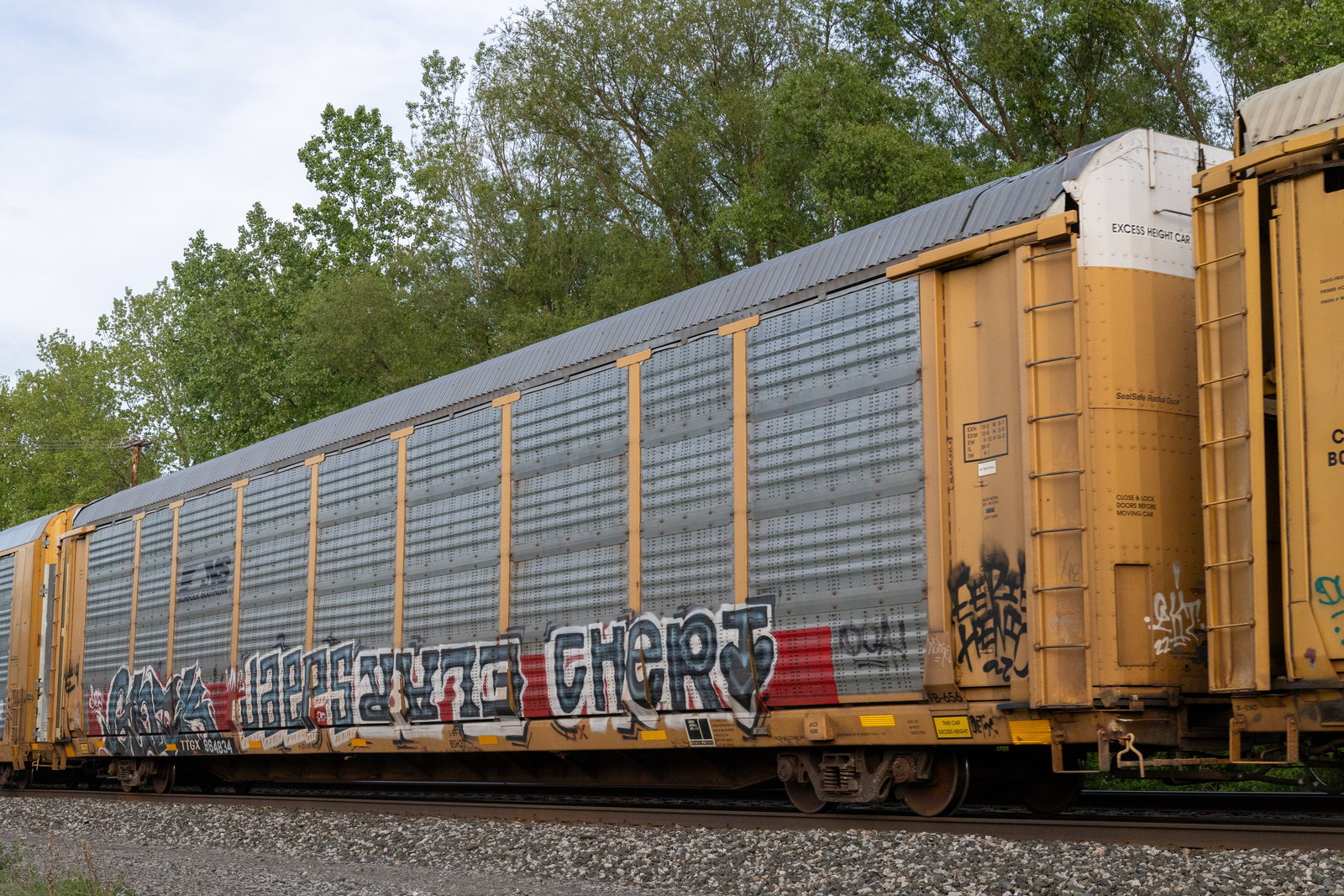 TTGX 964834