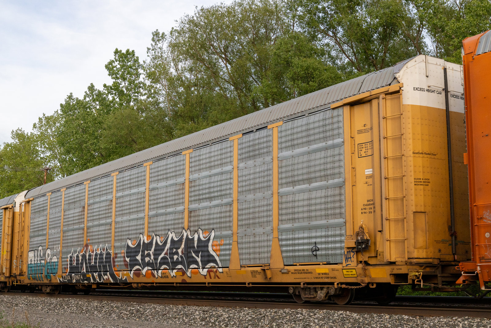 TTGX 702674