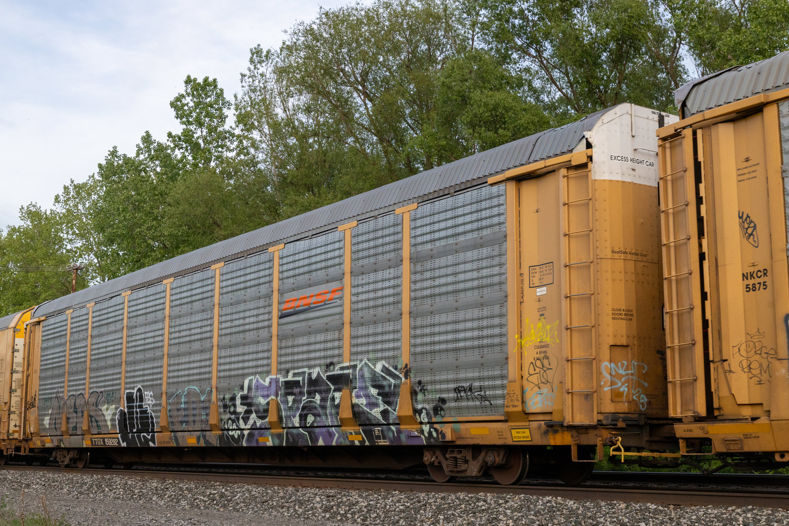 TTGX 159282