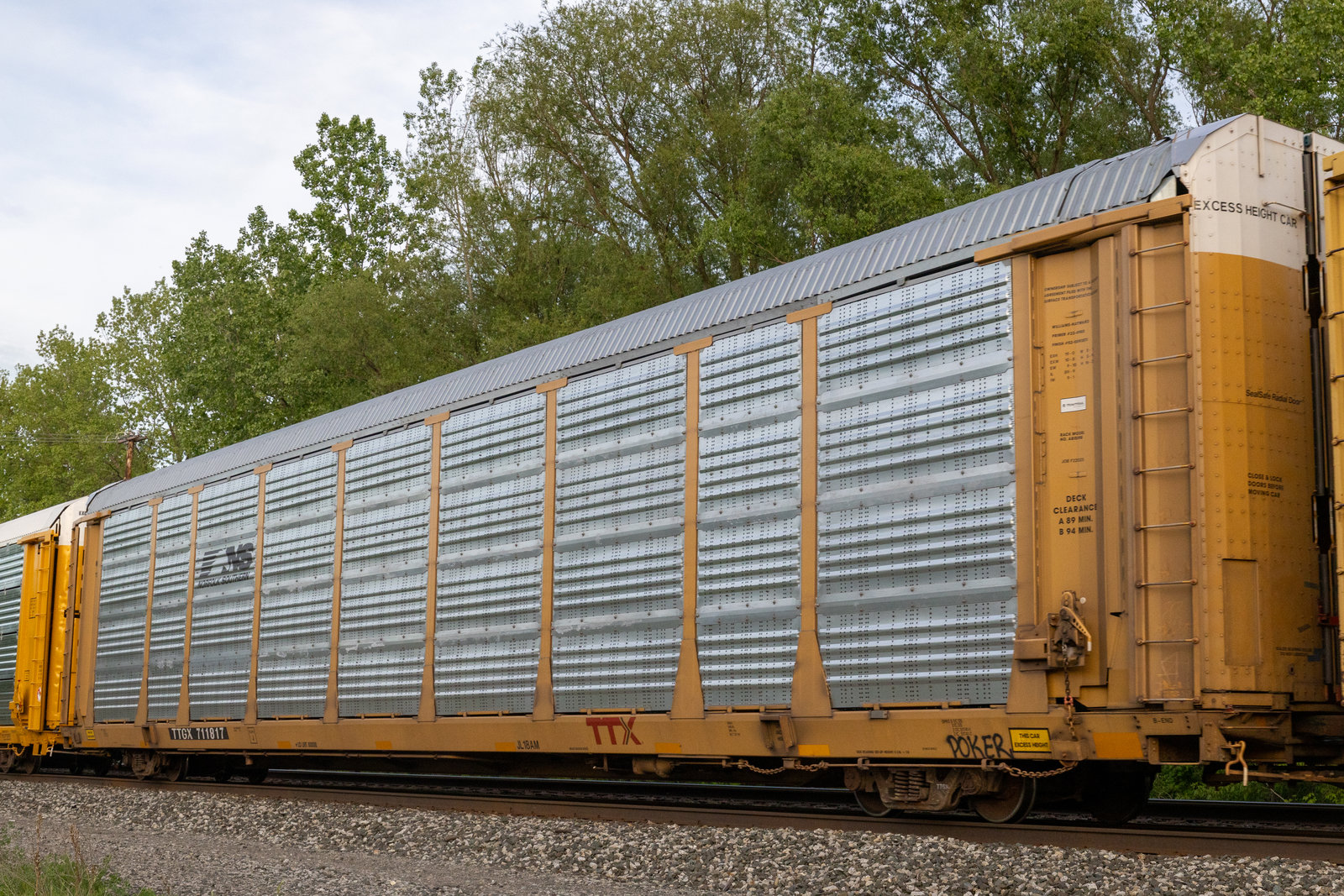 TTGX 711817