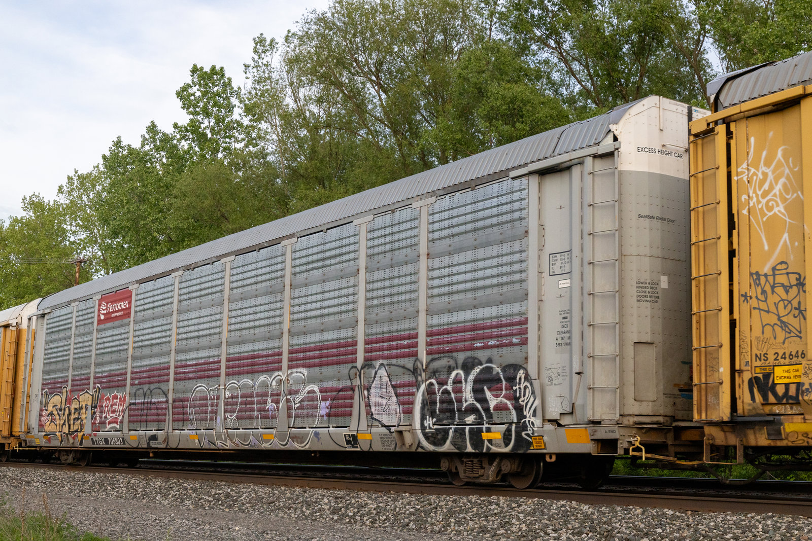 TTGX 705803