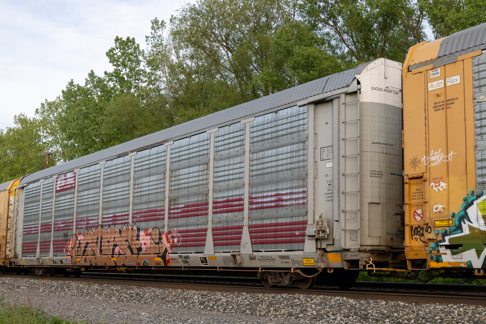 TTGX 705483