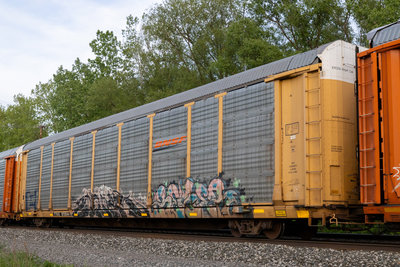 TTGX 973594