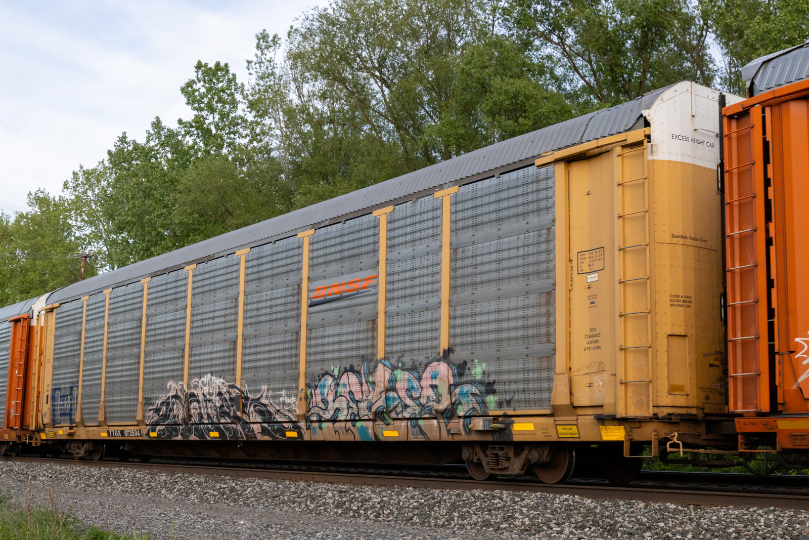 TTGX 973594