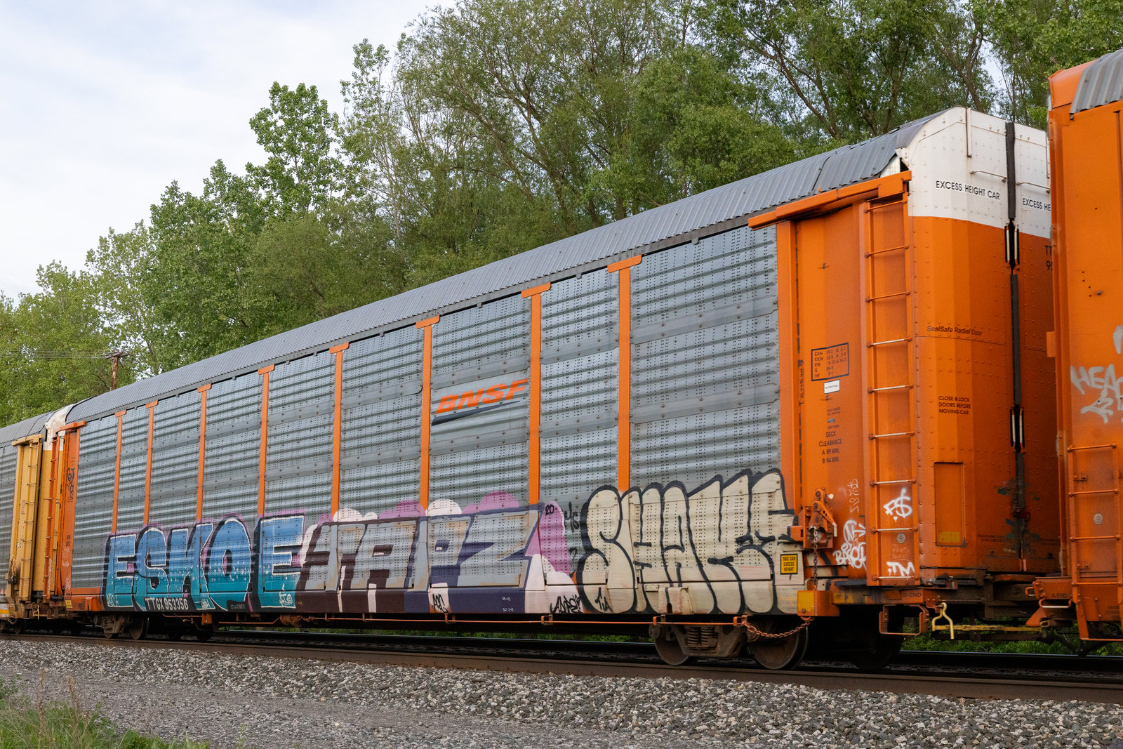 TTGX 953356