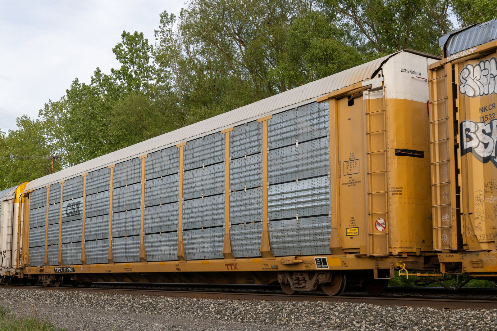 TTGX 975685