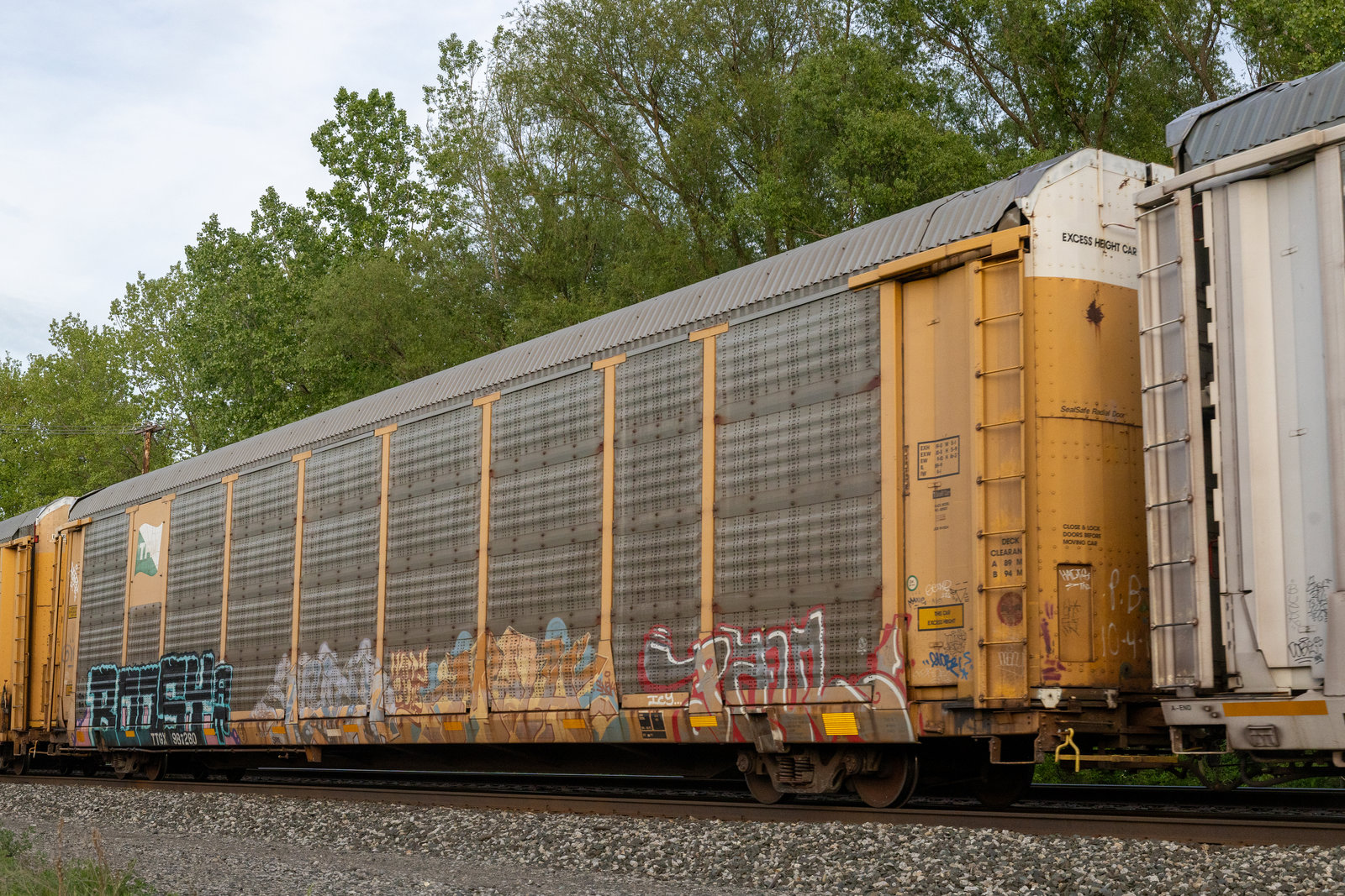 TTGX 987260