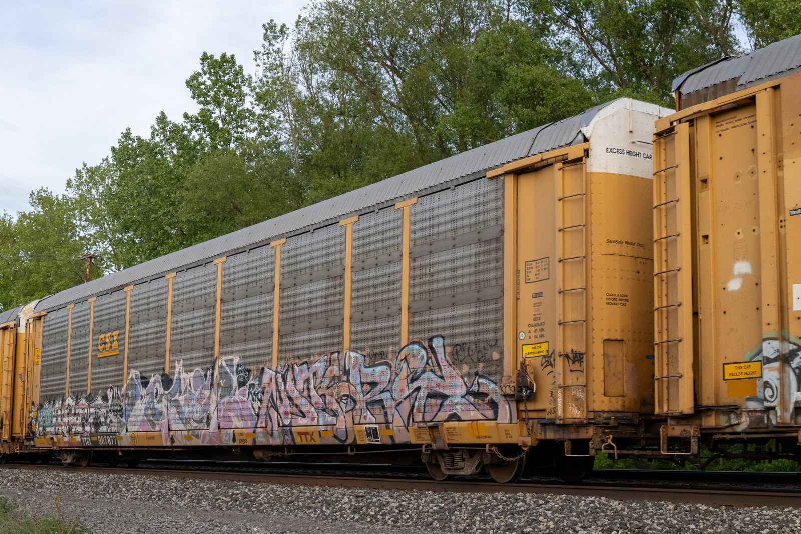 TTGX 987877