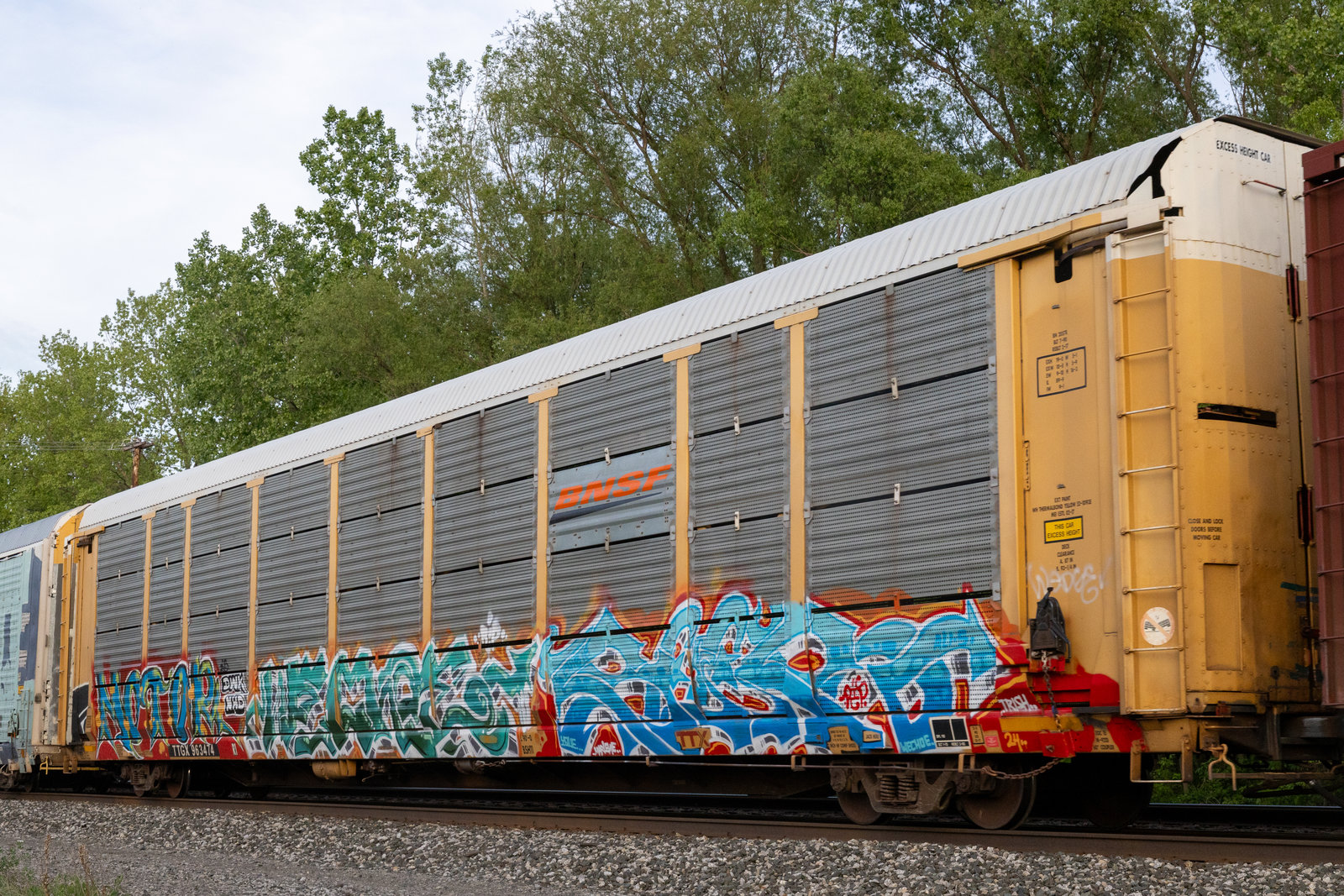 TTGX 963474