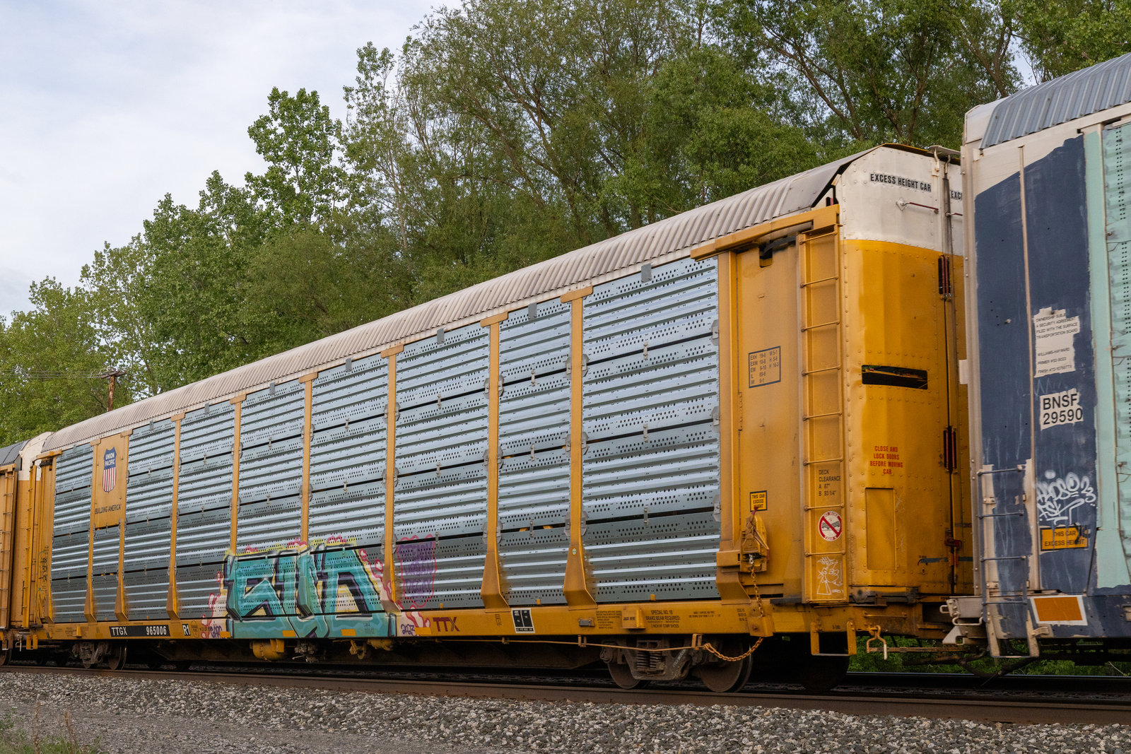 TTGX 965006