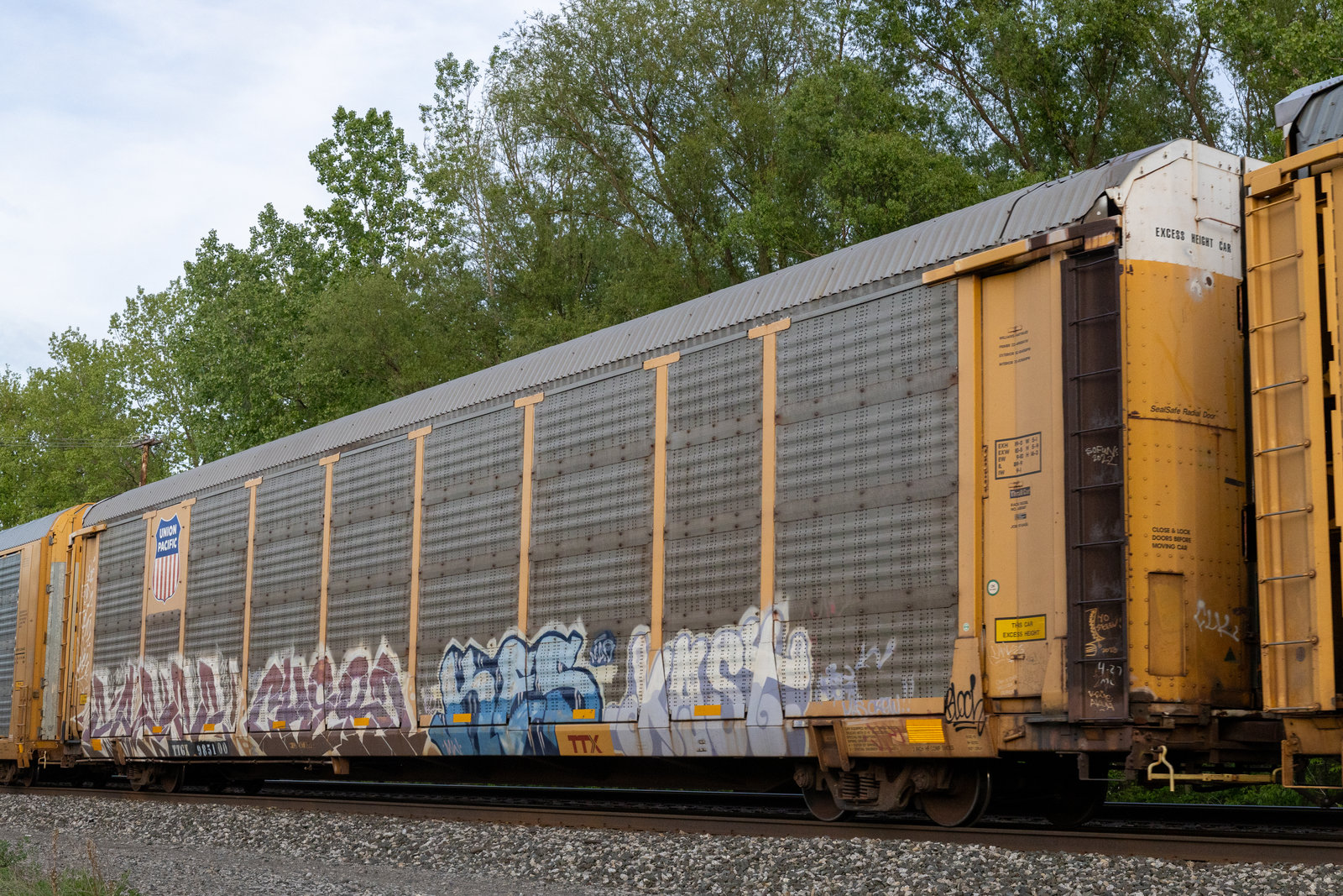 TTGX 985100