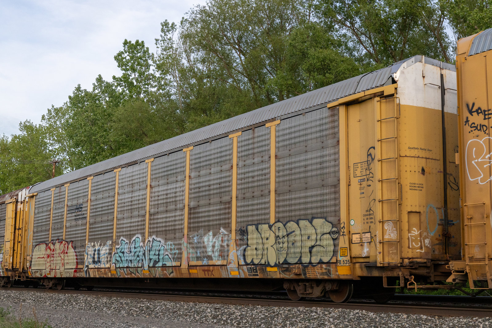 TTGX 994028