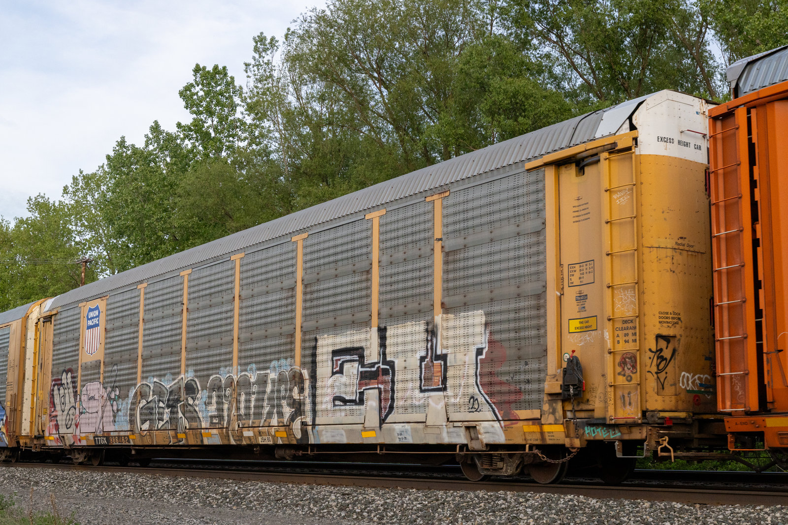 TTGX 986462