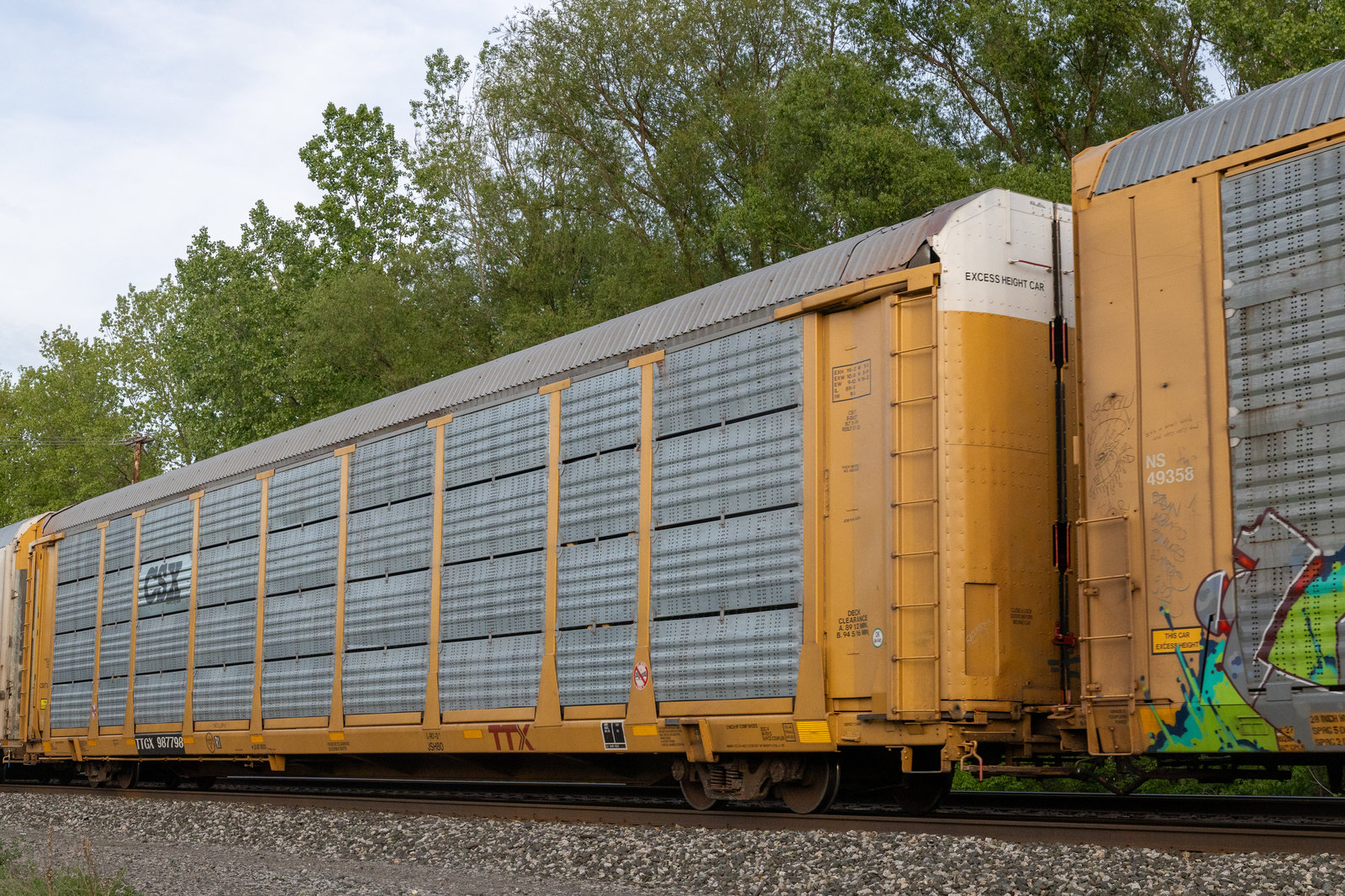 TTGX 987798