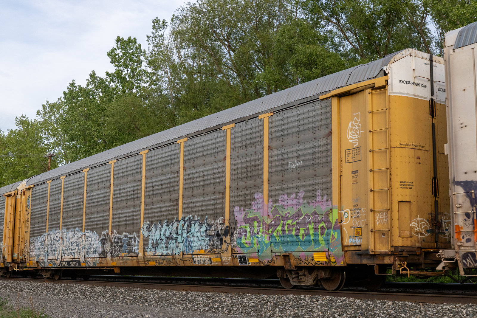 TTGX 989125