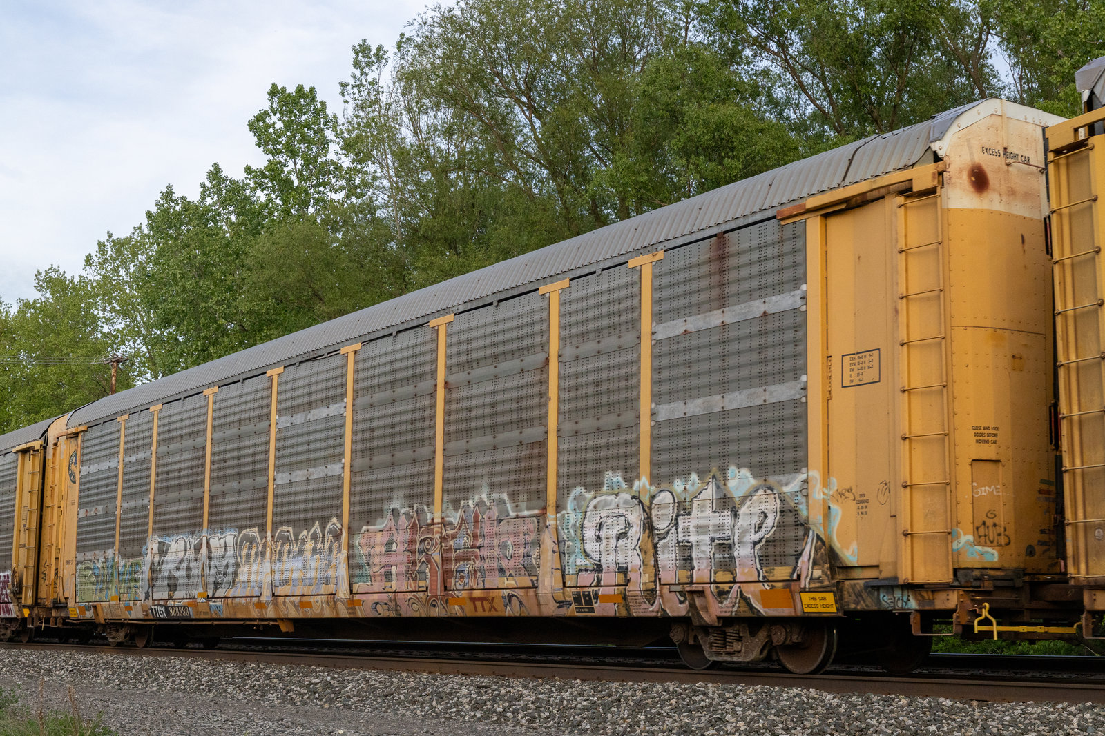 TTGX 988898