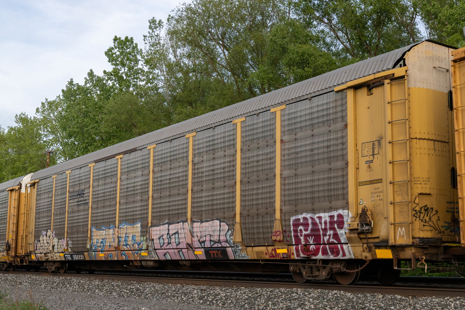 TTGX 993231