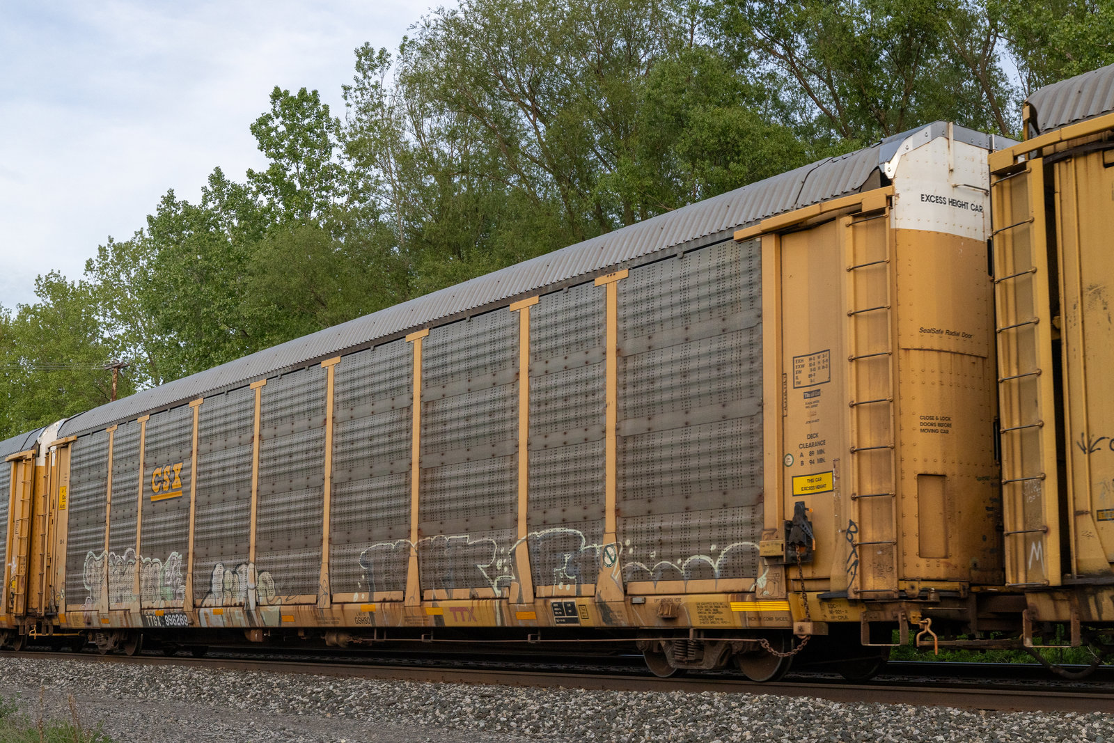TTGX 996269