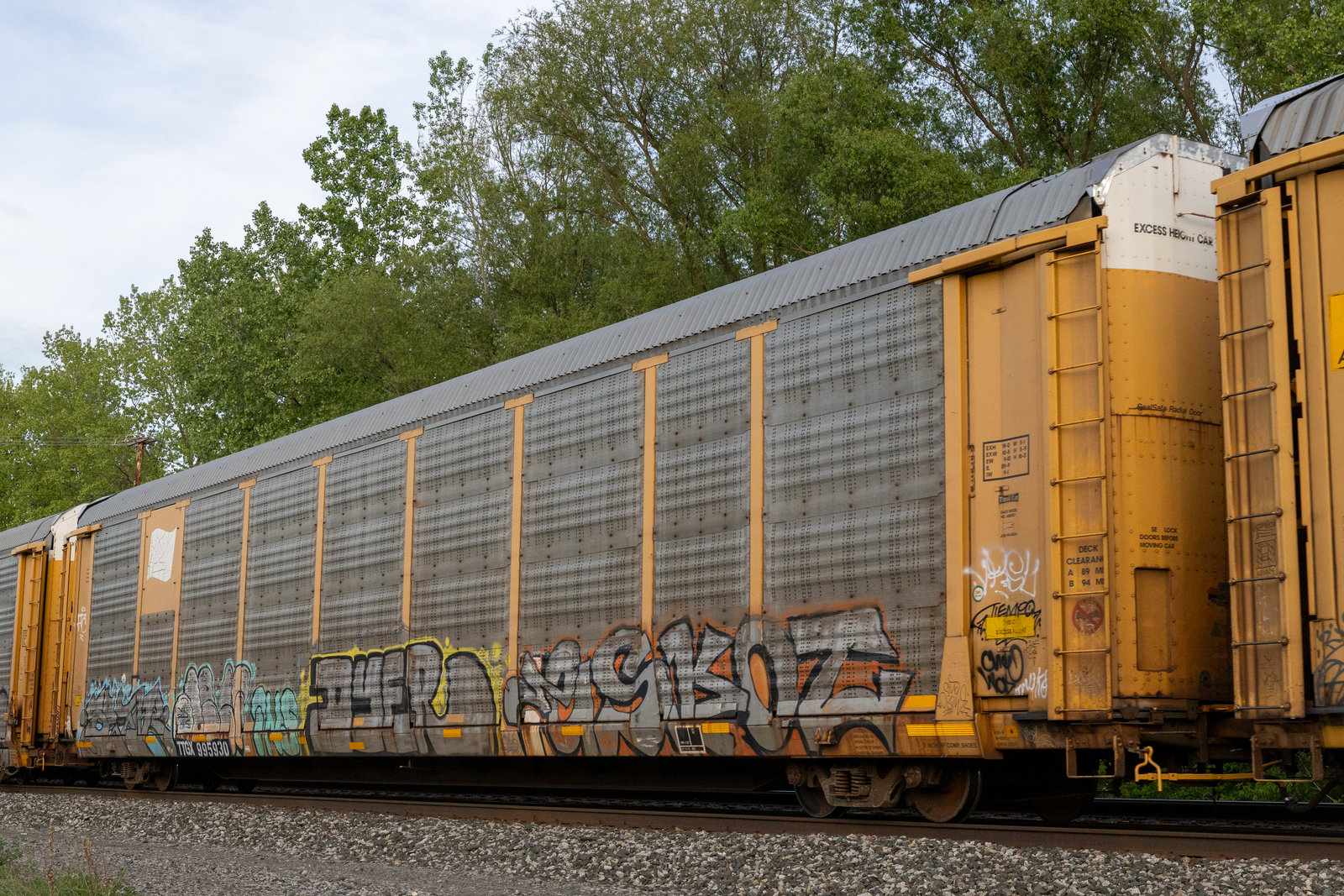 TTGX 995930