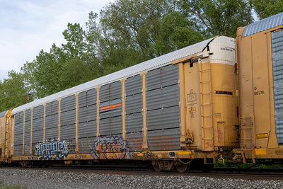 TTGX 159182