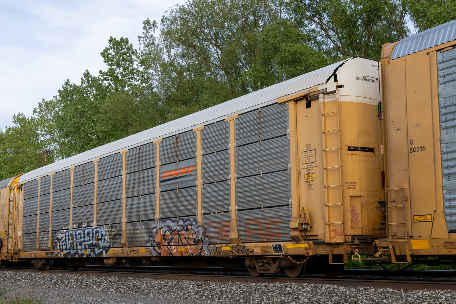 TTGX 159182