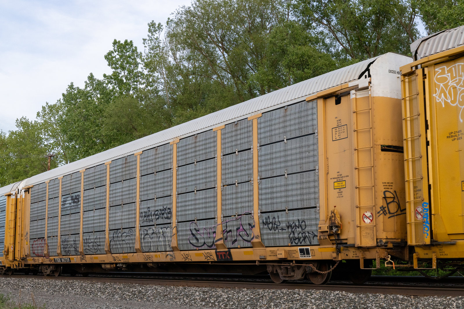 TTGX 962739