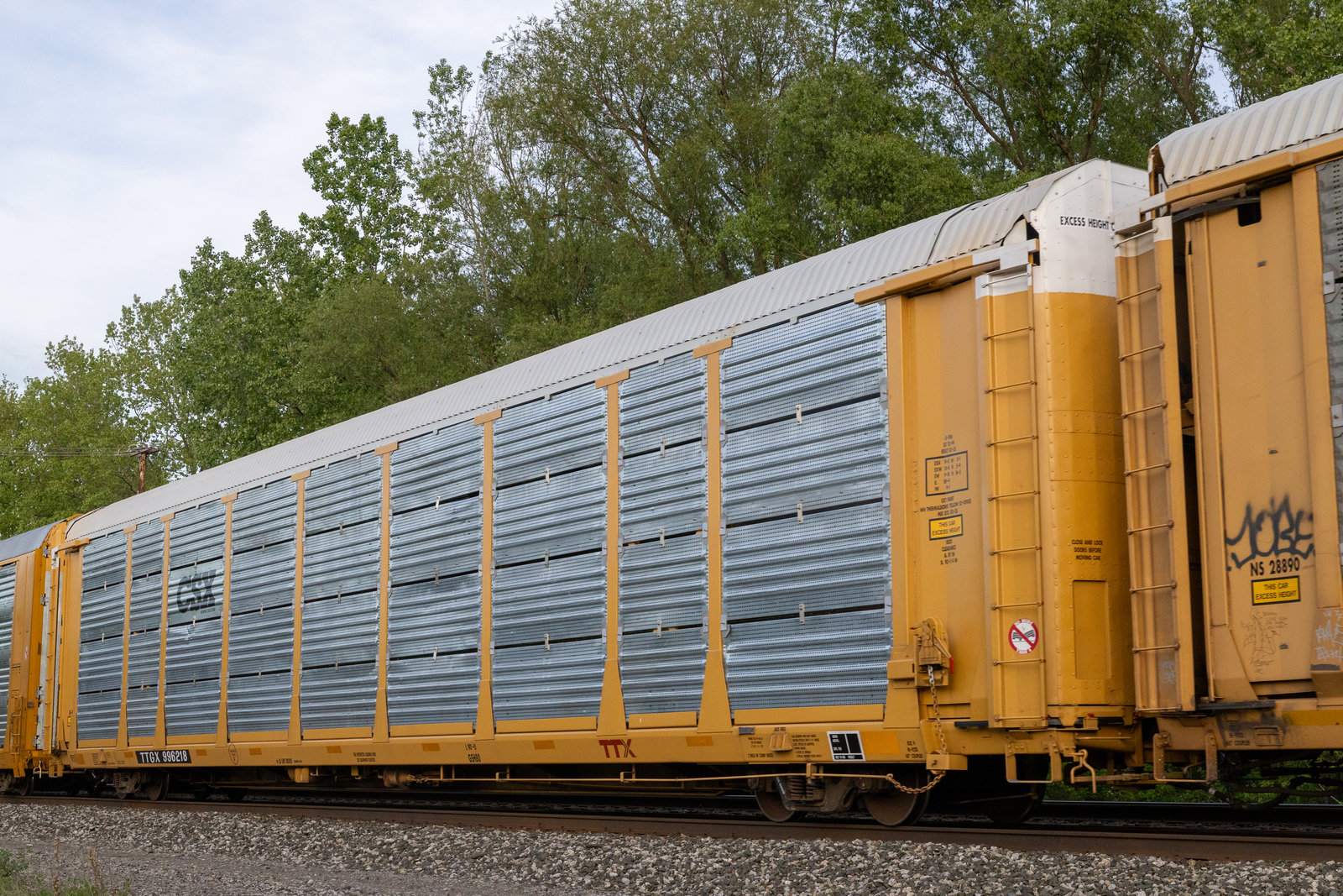 TTGX 996218