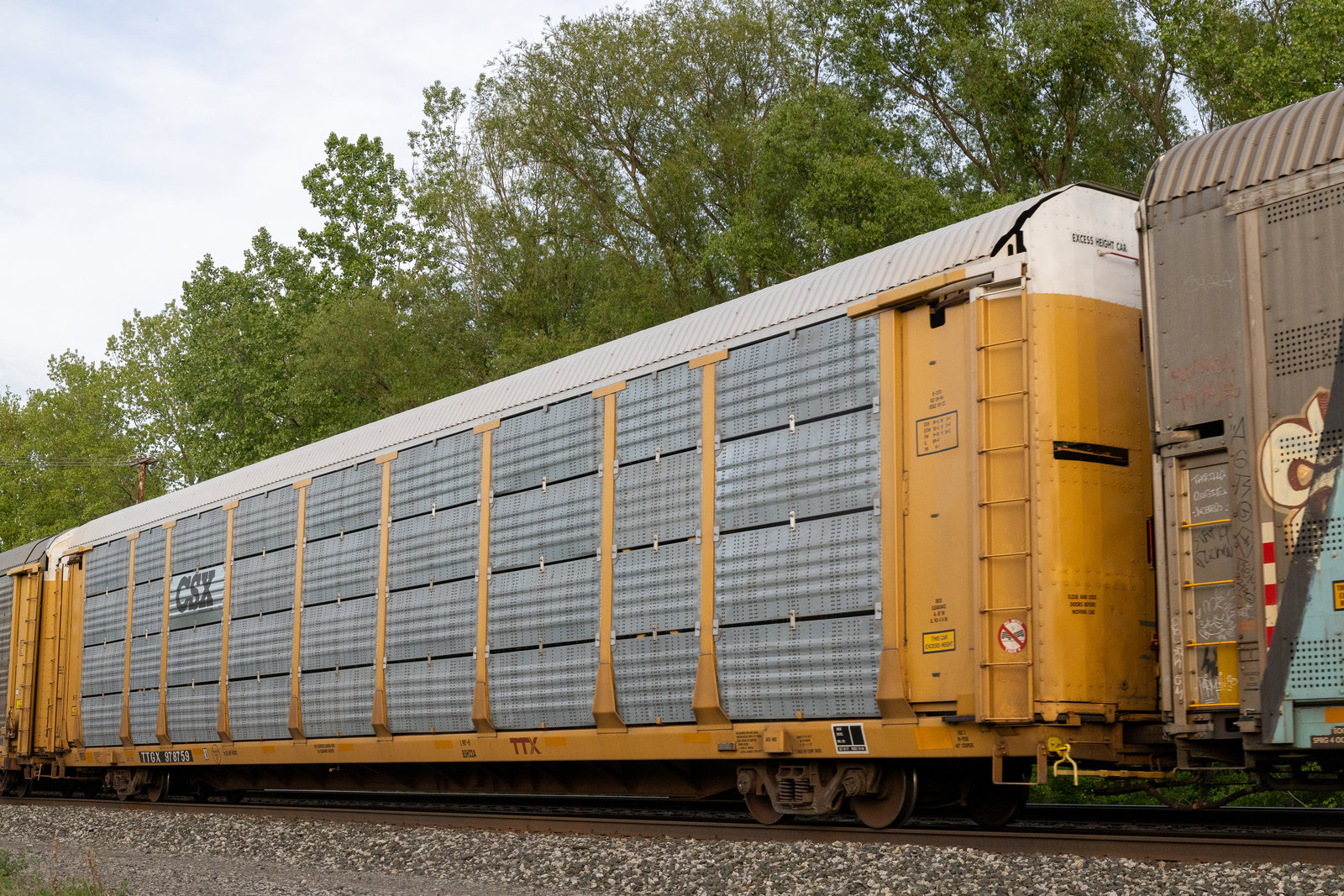 TTGX 978759