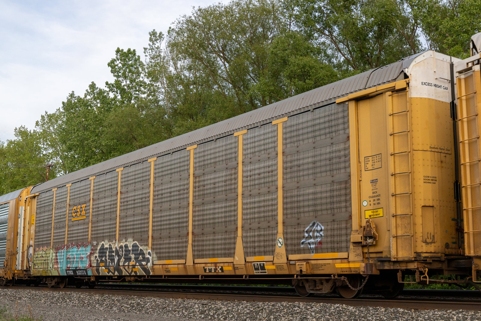 TTGX 952176