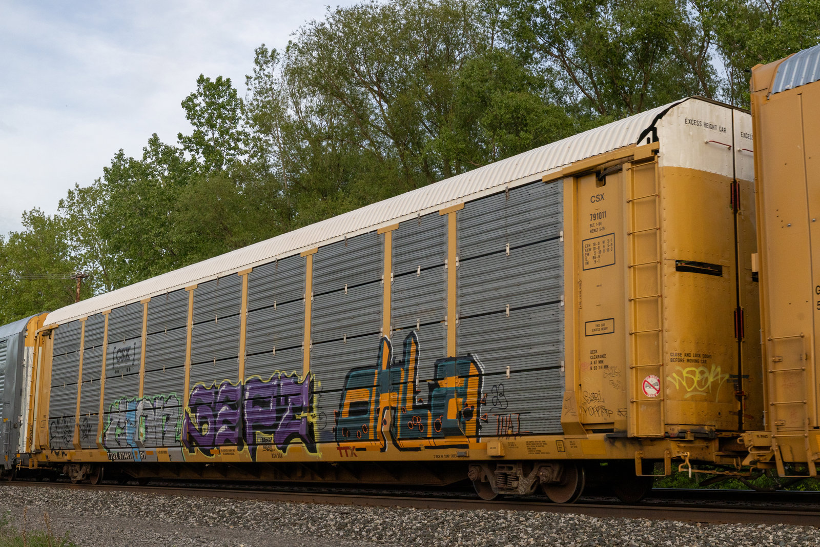 TTGX 971461