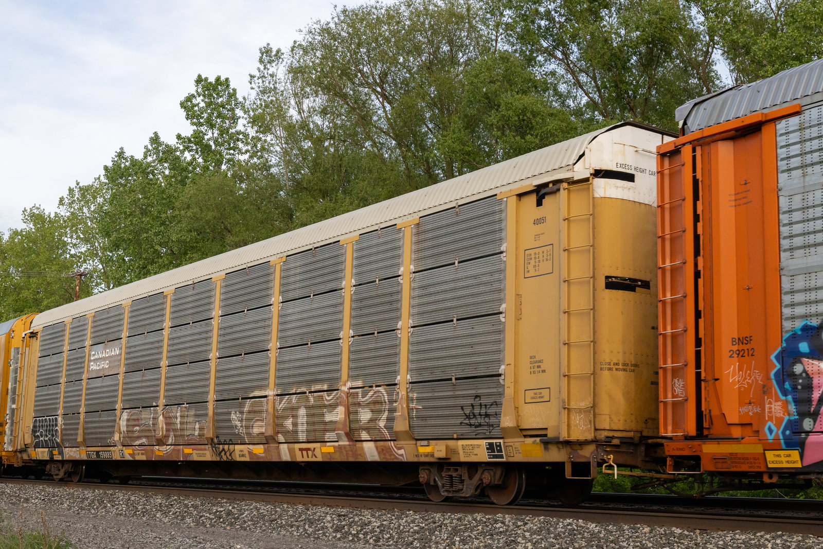 TTGX 159885