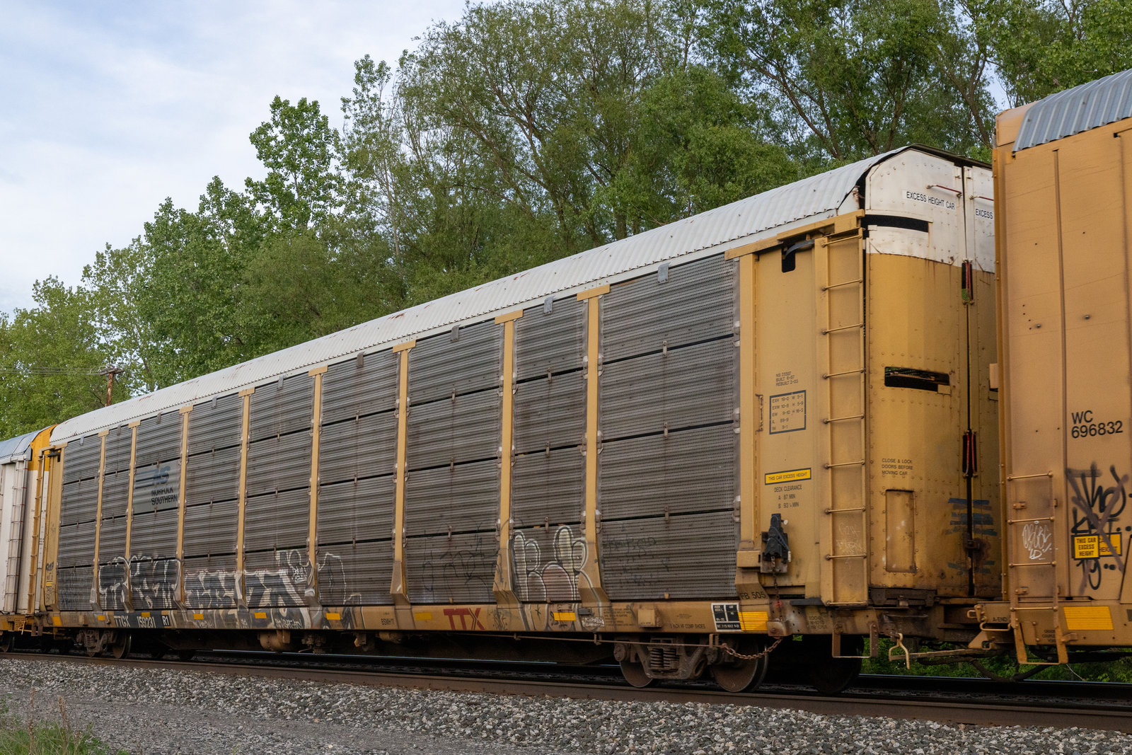 TTGX 159231