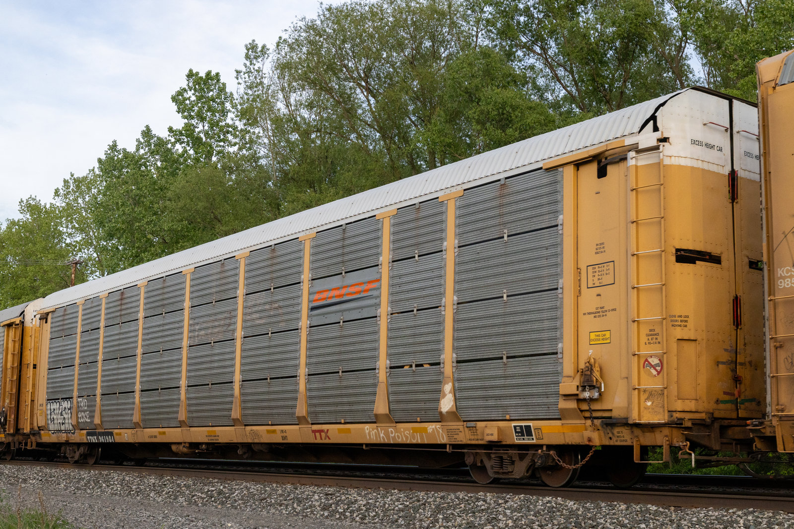 TTGX 691984