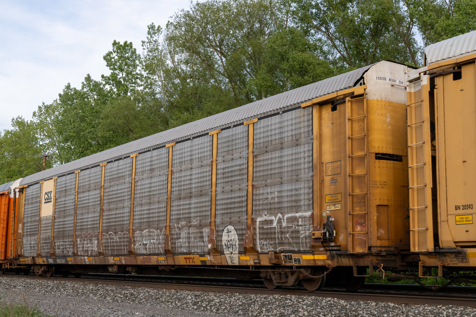 TTGX 982397